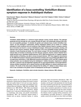 Identification of a Locus Controlling Verticillium Disease Symptom