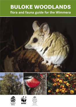 BULOKE WOODLANDS ﬂora and Fauna Guide for the Wimmera Buloke Woodlands ﬂora and Fauna Guide for the Wimmera © WWF-Australia 2005