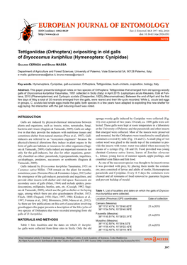 Tettigoniidae (Orthoptera) Ovipositing in Old Galls of Dryocosmus Kuriphilus (Hymenoptera: Cynipidae)