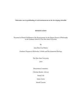 Molecular Cues in Pathfinding of Axial Motoneurons in the Developing Zebrafish