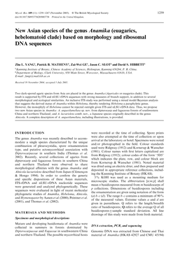 New Asian Species of the Genus Anamika (Euagarics, Hebelomatoid Clade) Based on Morphology and Ribosomal DNA Sequences