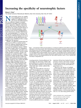 Increasing the Specificity of Neurotrophic Factors