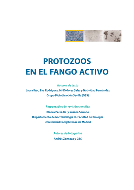 Protozoos En El Fango Activo
