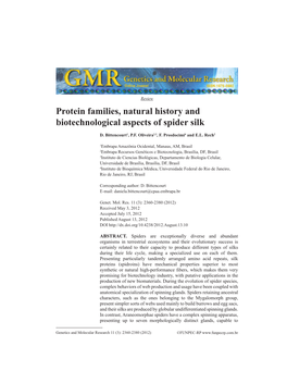 Protein Families, Natural History and Biotechnological Aspects of Spider Silk