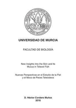 Universidad De Murcia