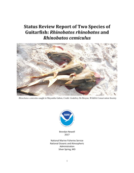 Status Review Report of Two Species of Guitarfish: Rhinobatos Rhinobatos and Rhinobatos Cemiculus