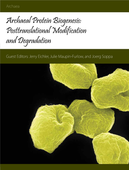 Posttranslational Modification and Degradation