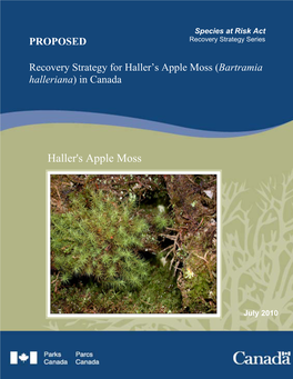 Haller's Apple Moss
