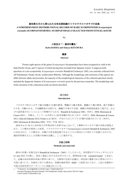 Kuroshio Biosphere 高知県大月から得られた分布北限記録のトウヨウ