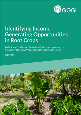 Identifying Income Generating Opportunities in Root Crops