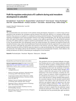 Pcdh18a Regulates Endocytosis of E-Cadherin During Axial Mesoderm