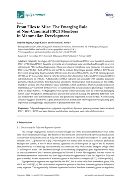 The Emerging Role of Non-Canonical PRC1 Members in Mammalian Development