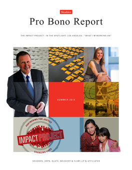 Pro Bono Report