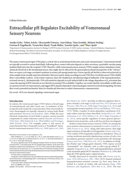 Extracellular Ph Regulates Excitability of Vomeronasal Sensory Neurons