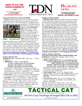 TACTICAL CAT Storm Cat S Terre Haute, by Caro (Ire)