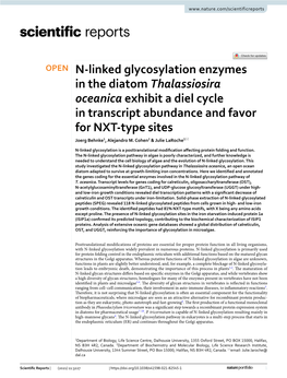 N-Linked Glycosylation Enzymes in the Diatom Thalassiosira Oceanica