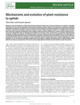 Mechanisms and Evolution of Plant Resistance to Aphids Tobias Züst† and Anurag A