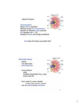 Kidney Functions: -Osmoregulation -Blood Volume Regulation -Maintain