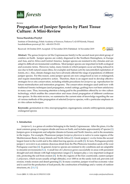 Propagation of Juniper Species by Plant Tissue Culture: a Mini-Review