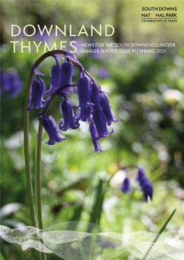 Downland Thymes Spring
