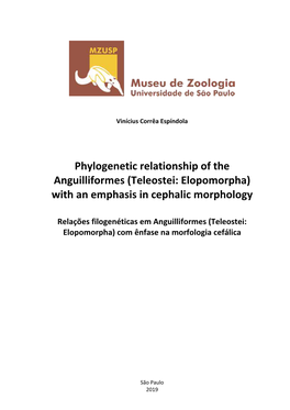 Phylogenetic Relationship of the Anguilliformes (Teleostei: Elopomorpha) with an Emphasis in Cephalic Morphology