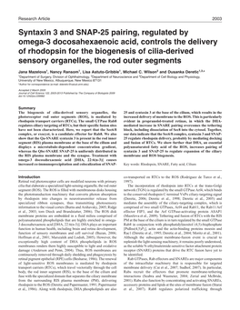 Syntaxin 3 and SNAP-25 Pairing, Regulated By