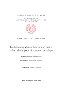 Evolutionary Channels of Binary Black Holes: the Impact of Common Envelope