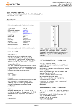 PPIF Antibody (Center) Affinity Purified Rabbit Polyclonal Antibody (Pab) Catalog # Ap16334c