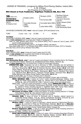 HORSE in TRAINING, Consigned by Willow Pond Racing Stables, Ireland (Mrs A