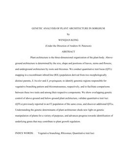 GENETIC ANALYSIS of PLANT ARCHITECTURE in SORGHUM by WENQIAN KONG (Under the Direction of Andrew H. Paterson) ABSTRACT Plant