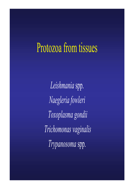 Protozoa from Tissues