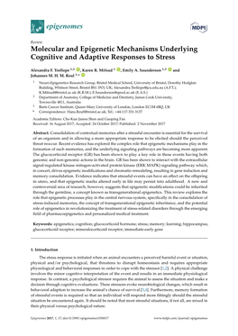 Molecular and Epigenetic Mechanisms Underlying Cognitive and Adaptive Responses to Stress