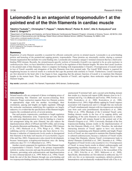 Leiomodin-2 Is an Antagonist of Tropomodulin-1 at the Pointed End of the Thin Filaments in Cardiac Muscle