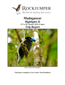Madagascar Highlights II 12Th to 26Th October 2019 (15 Days) Trip Report