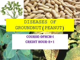 Diseases of Groundnut(Peanut)