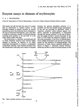 Enzyme Assays in Diseases of Erythrocytes