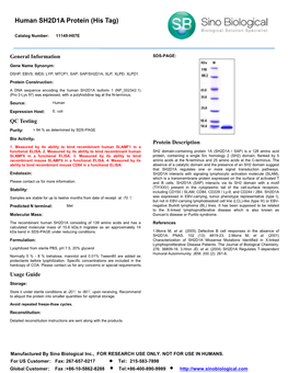 Human SH2D1A Protein (His Tag)