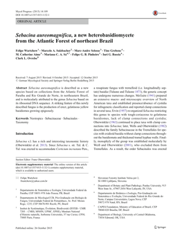 Sebacina Aureomagnifica, a New Heterobasidiomycete from the Atlantic Forest of Northeast Brazil