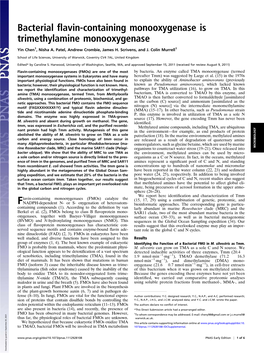 Bacterial Flavin-Containing Monooxygenase Is Trimethylamine Monooxygenase