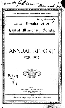 Annual Report for 1917