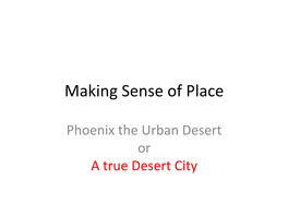 Making Sense of Place