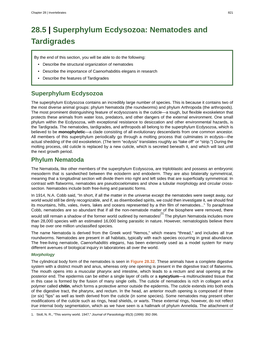 Superphylum Ecdysozoa: Nematodes and Tardigrades