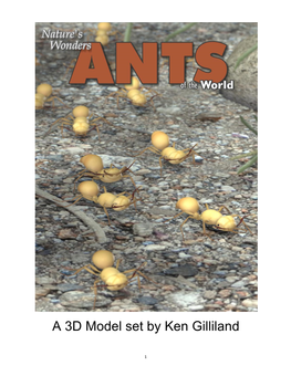 An Introduction to Army Ants