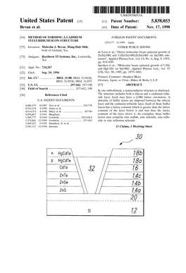 United States Patent (19) 11 Patent Number: 5,838,053 Bevan Et Al