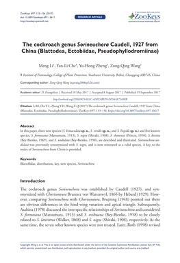 The Cockroach Genus Sorineuchora ﻿﻿Caudell, 1927 from China (Blattodea, Ectobiidae, Pseudophyllodromiinae)