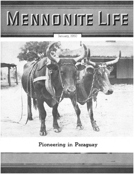Pioneering in Paraguay Published in the Interest of the Best in the Religious, Social, and Economic Phases of Mennonite Culture