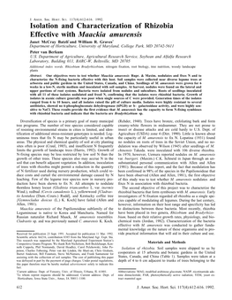 Isolation and Characterization of Rhizobia Effective with 'Maackia