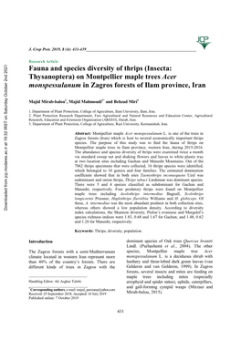 Fauna and Species Diversity of Thrips (Insecta: Thysanoptera) on Montpellier Maple Trees Acer Monspessulanum in Zagros Forests of Ilam Province, Iran