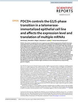 PDCD4 Controls the G1/S-Phase Transition in a Telomerase