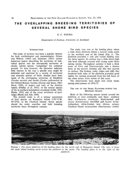 The Overlapping Breeding Territories of Several Shore Bird Species